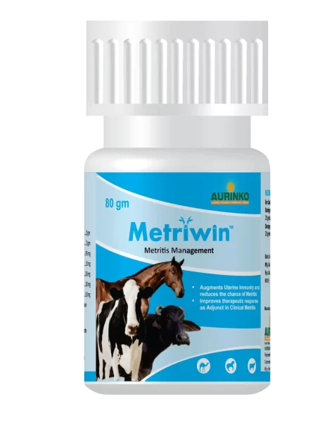 Metriwin-04